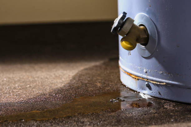 Best Fire Damage Restoration  in Avon, IN