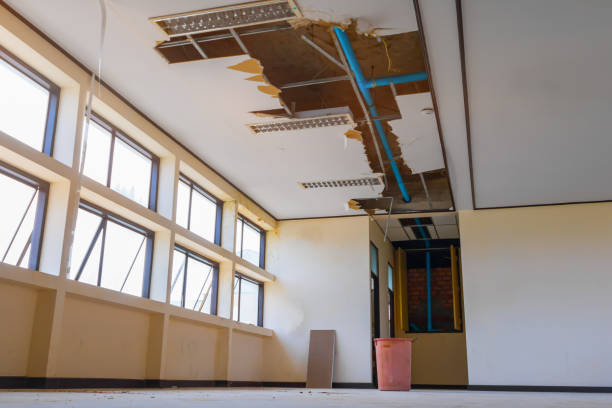 Best Sewage cleanup and water damage restoration  in Avon, IN
