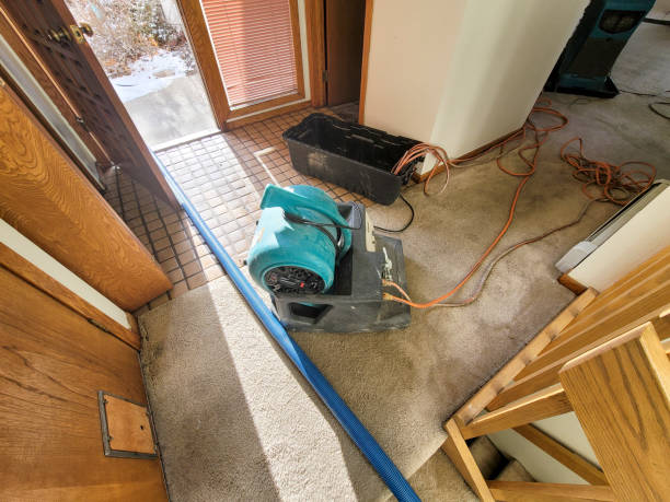 Best Carpet water damage restoration  in Avon, IN