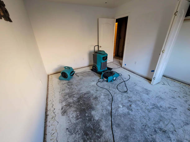 Best Carpet water damage restoration  in Avon, IN