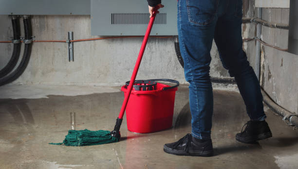 Best Basement water damage restoration  in Avon, IN
