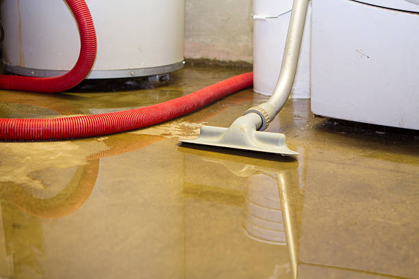Best Sewage cleanup and water damage restoration  in Avon, IN