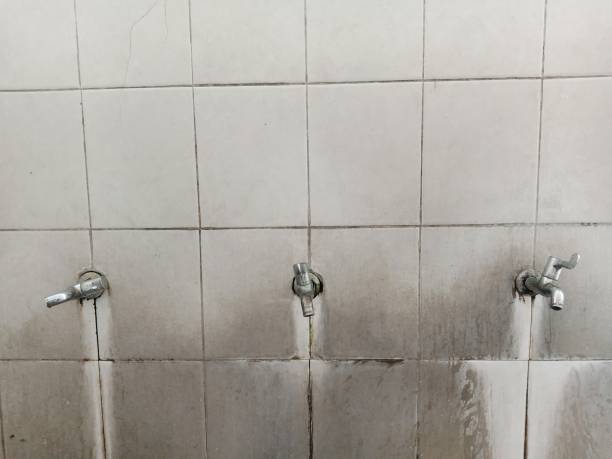 Best Flood restoration services  in Avon, IN