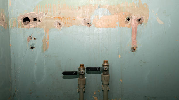 Professional Water damage restoration in IN